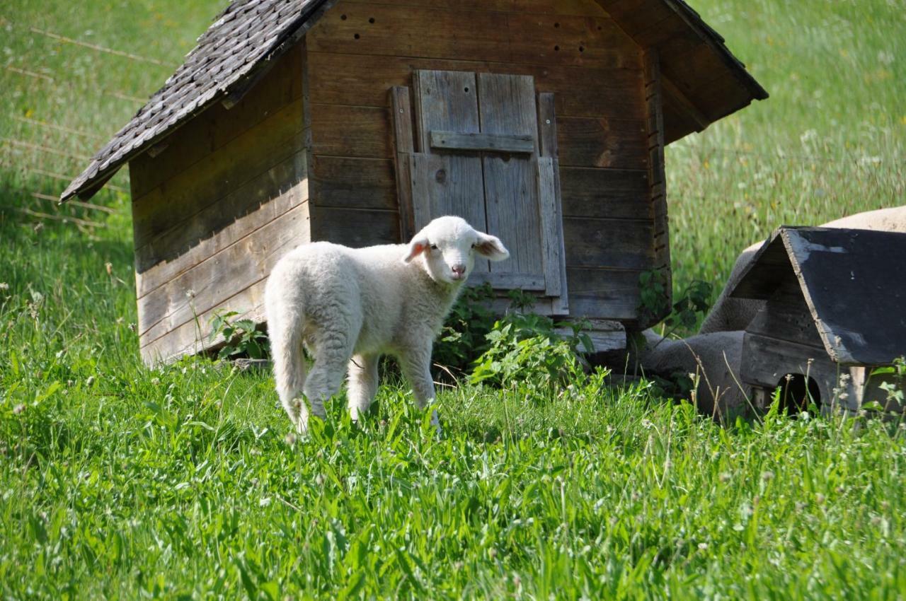 Appartamento Appart Tramontana Bürserberg Esterno foto